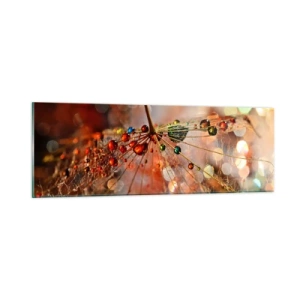 Quadro su vetro - Posate sulla ragnatela - 90x30 cm