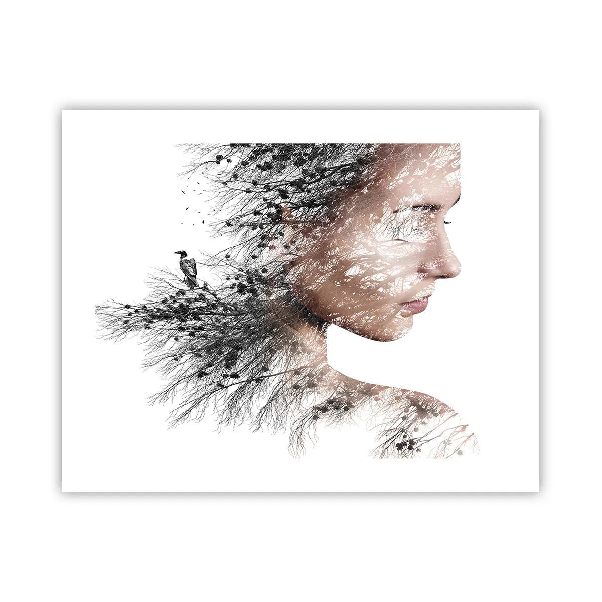Poster - Lo spirito della foresta - 50x40 cm