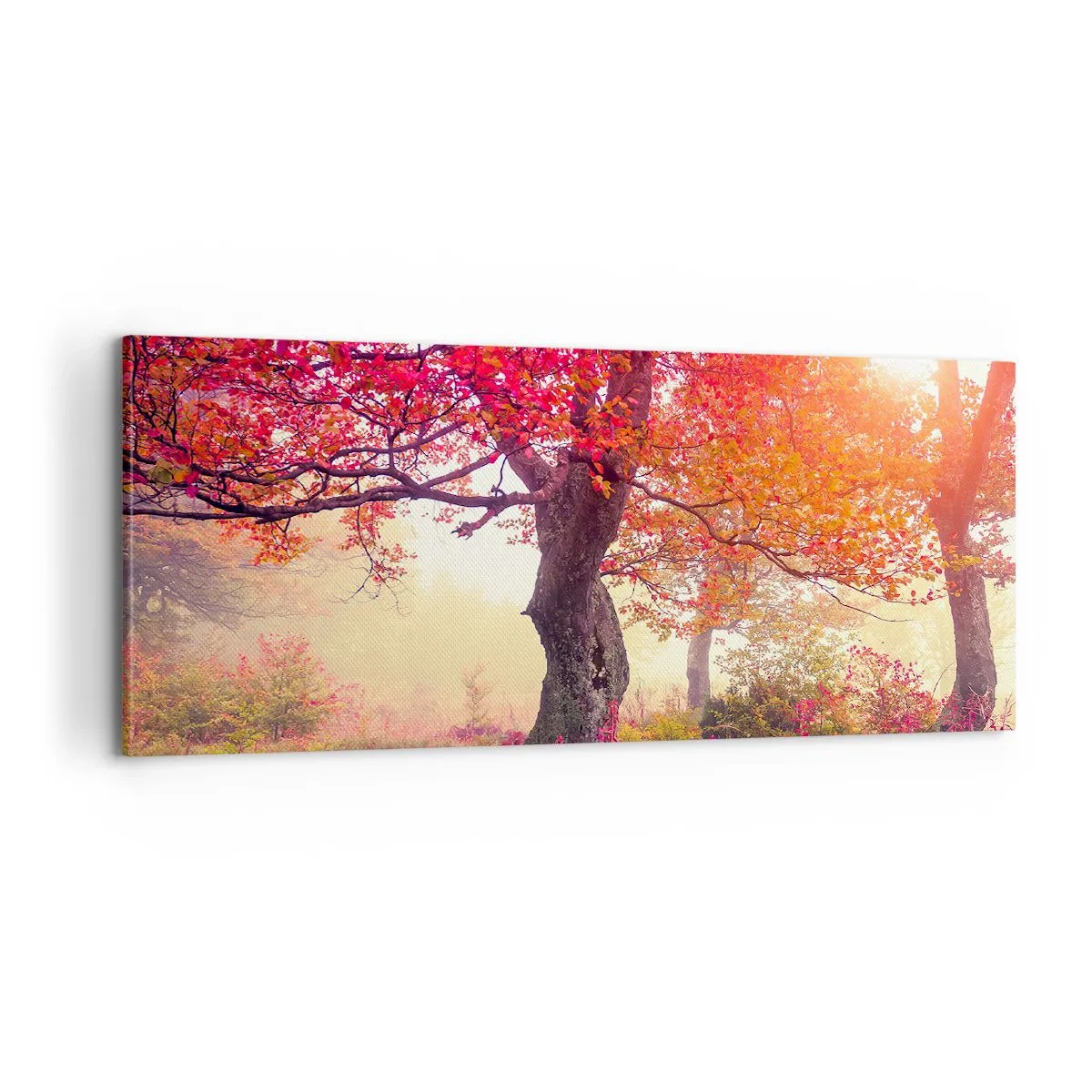 Quadro su tela - Stampe su Tela - L'esplosione della fioritura - 100x40 cm