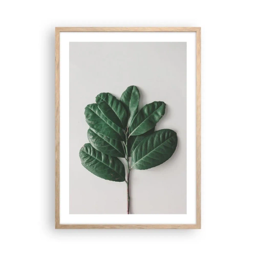 Poster in cornice rovere chiaro - Il disegno della natura stessa - 50x70 cm