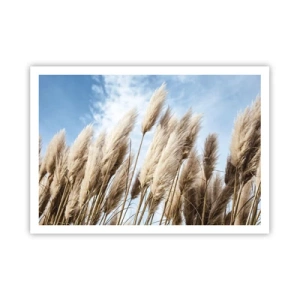 Poster - Delicati prati di pampa contro un cielo azzurro con nuvole leggere - 100x70cm - Le carezze del sole e del vento - Decorazione murale moderna per soggiorno e camera da letto ARTTOR