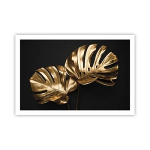 Poster - I tesori della natura - 91x61 cm