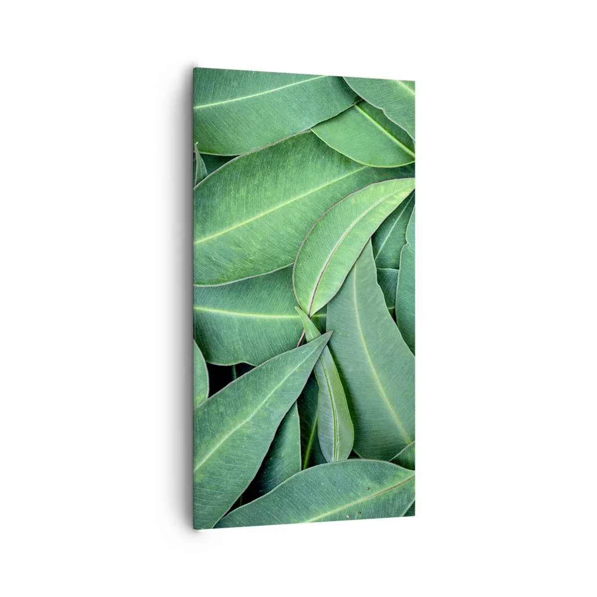 Quadro su tela - Stampe su Tela - Succosi e freschi - 65x120 cm