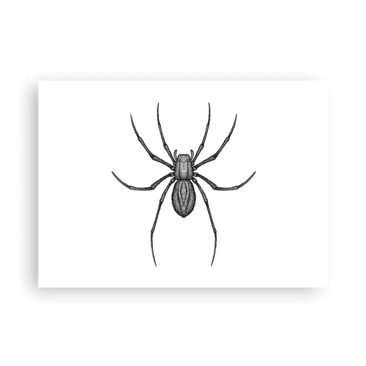 Poster - Precisione inquietante - 70x50 cm