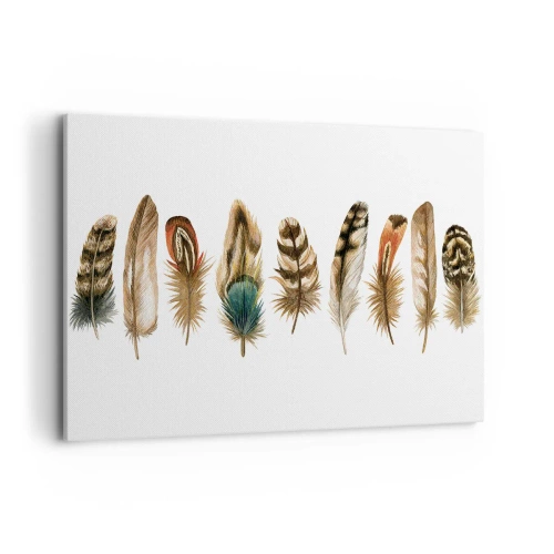 Quadro su tela - Stampe su Tela - Motivo decorativo di una raccolta di piume varie - 100x70cm - Composizione di piume - Decorazione murale moderna per soggiorno e camera da letto ARTTOR