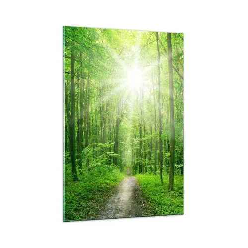 Quadro su vetro - Sentiero nel bosco con raggi di sole - 80x120cm - Cattedrale verde - Decorazione murale moderna per soggiorno e camera da letto ARTTOR