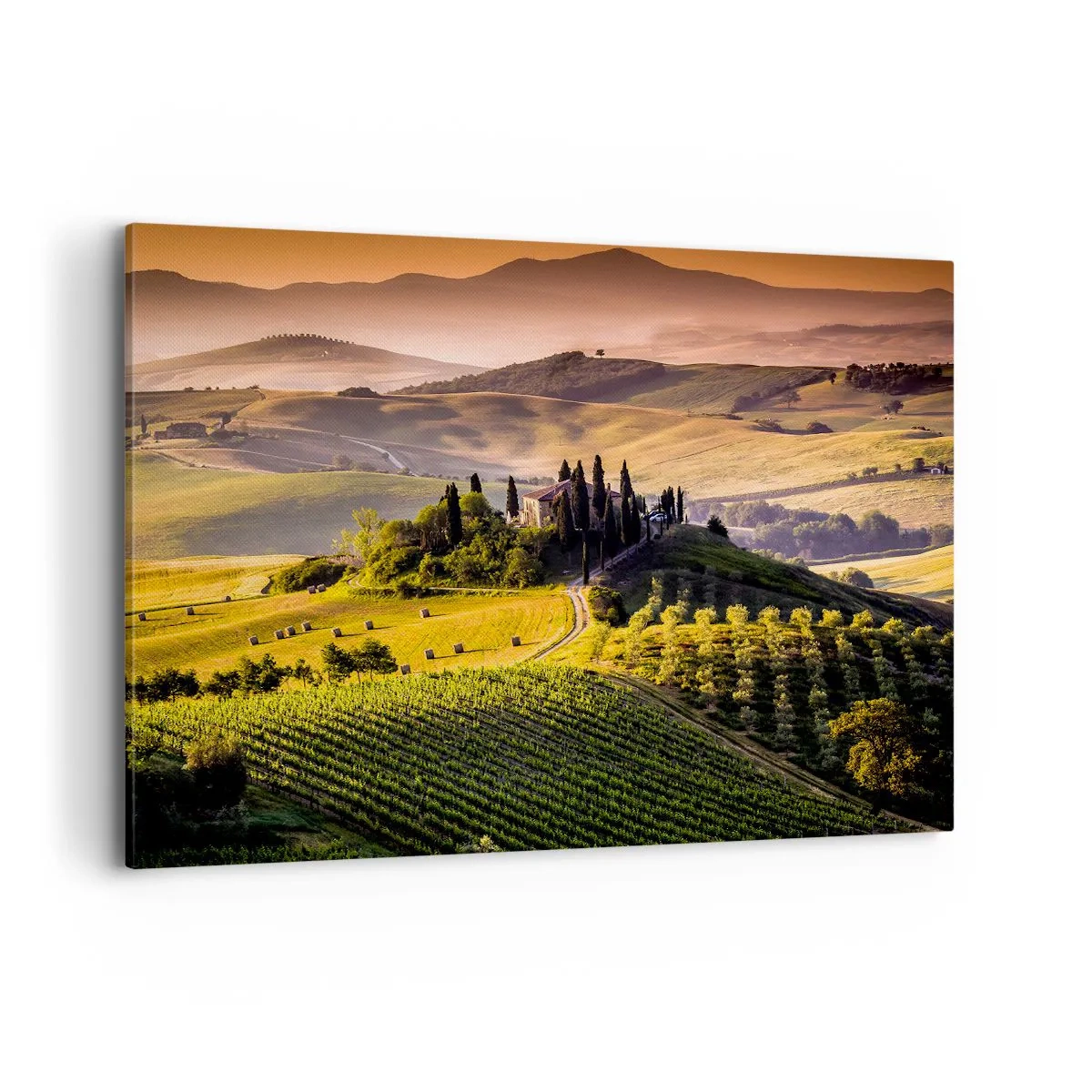 Quadro su tela - Stampe su Tela - Paesaggio toscano con vigneti e una casa su una collina - 100x70cm - Arcadia: paesaggio toscano - Decorazione murale moderna per soggiorno e camera da letto ARTTOR