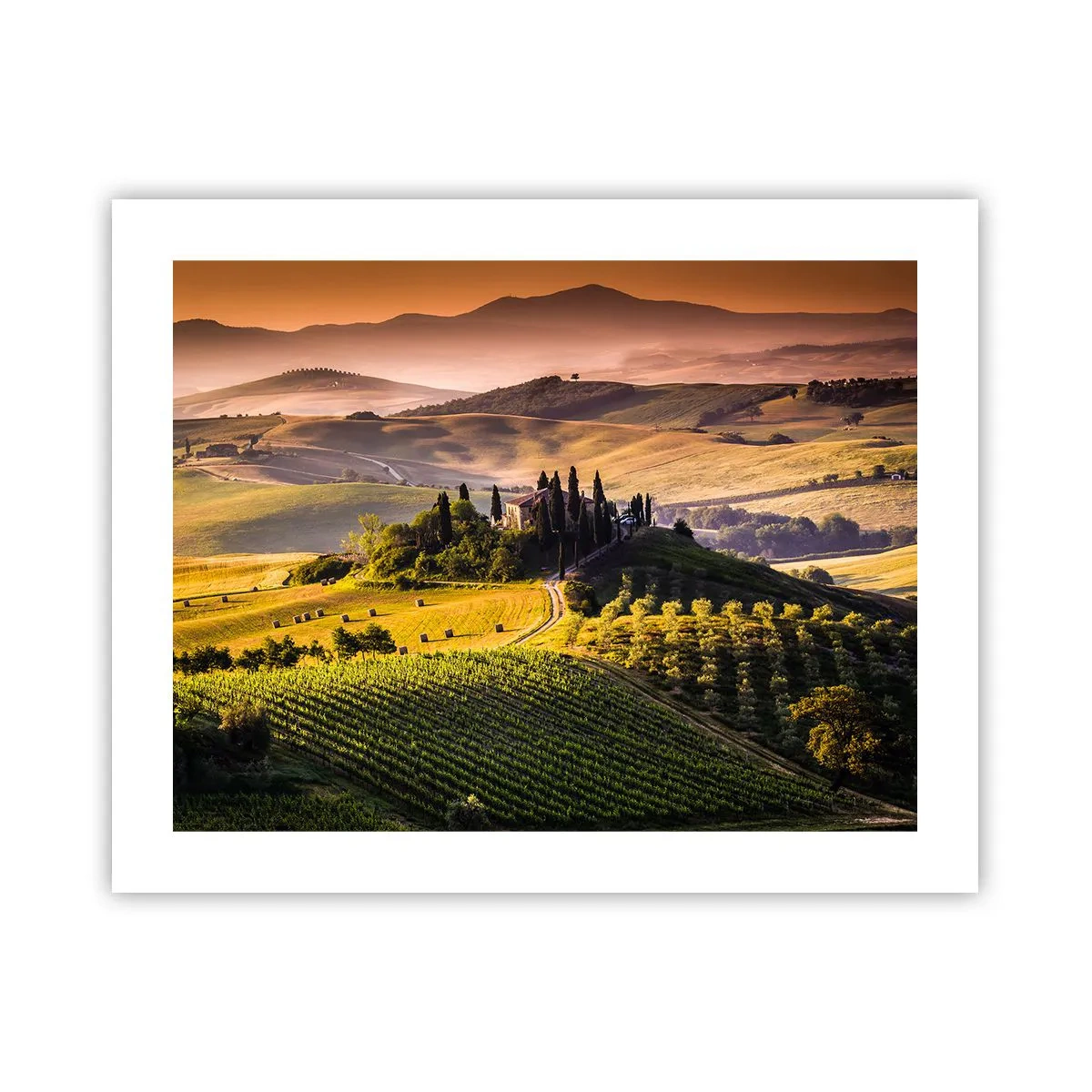 Poster - Arcadia: paesaggio toscano - 50x40 cm