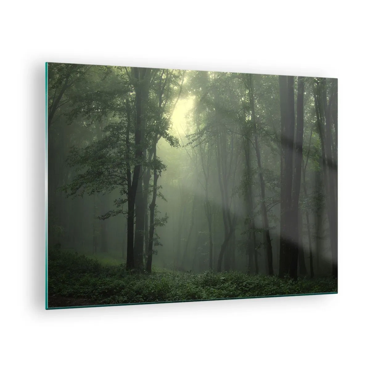 Quadro su vetro - Una foresta oscura avvolta nella nebbia con raggi di luce - 70x50cm - Prima che si svegli - Decorazione murale moderna per soggiorno e camera da letto ARTTOR