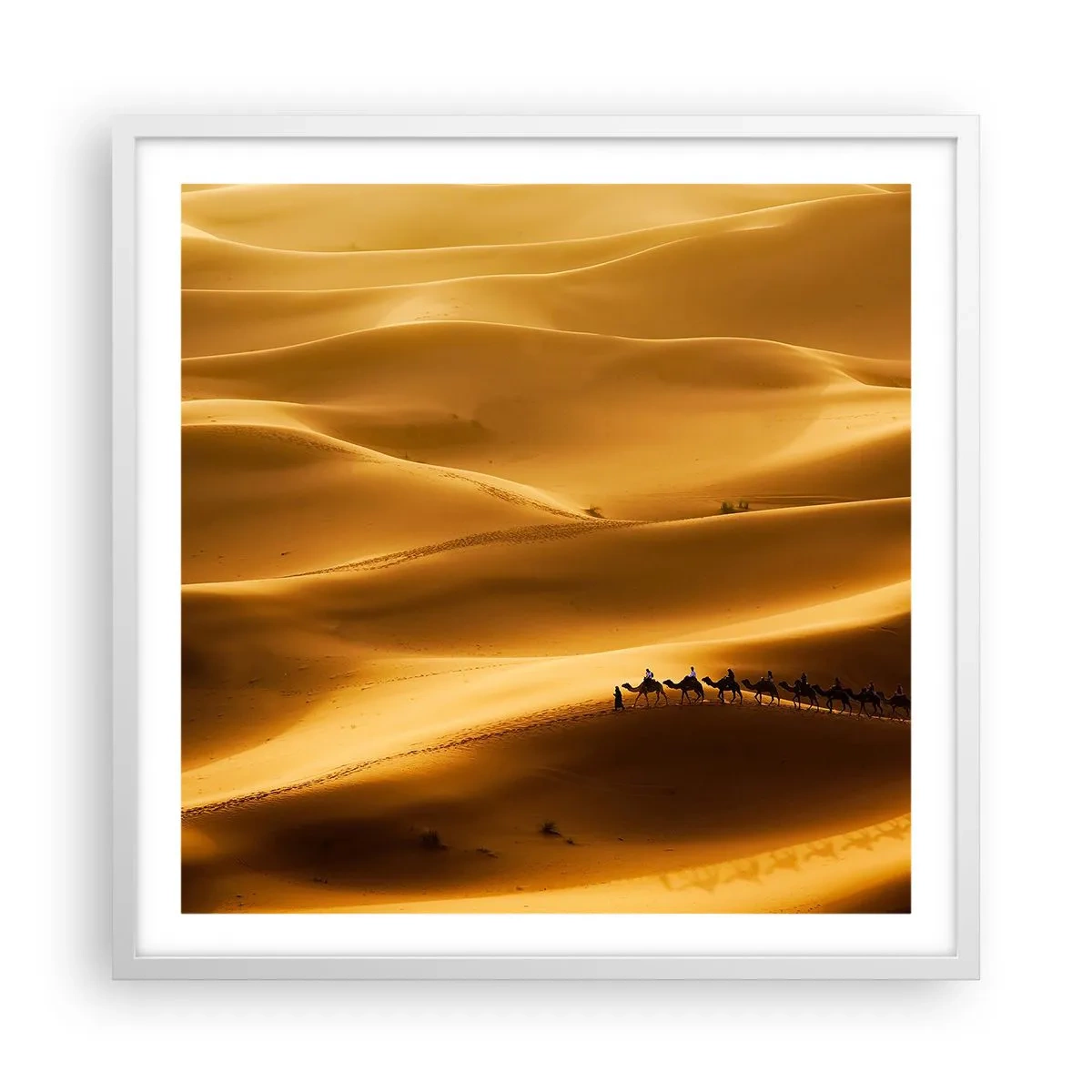 Poster in cornice bianca - La carovana sulle onde del deserto - 60x60 cm