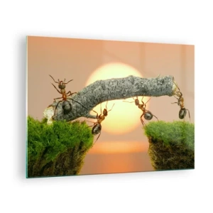 Quadro su vetro - Formiche che costruiscono un ponte al tramonto - 70x50cm - Gioioso lavoro comune - Decorazione murale moderna per soggiorno e camera da letto ARTTOR