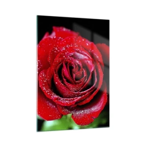 Quadro su vetro - Una rosa rossa ricoperta di gocce di rugiada su uno sfondo scuro - 50x70cm - Ecco l'amore - Decorazione murale moderna per soggiorno e camera da letto ARTTOR