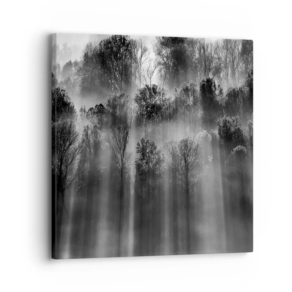 Quadro su tela - Stampe su Tela - Nei getti di luce - 30x30 cm