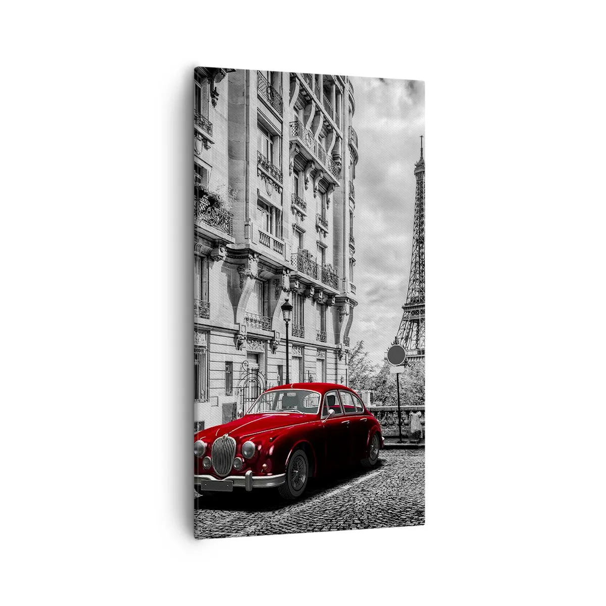 Quadro su tela - Stampe su Tela - Predatore in città - 55x100 cm