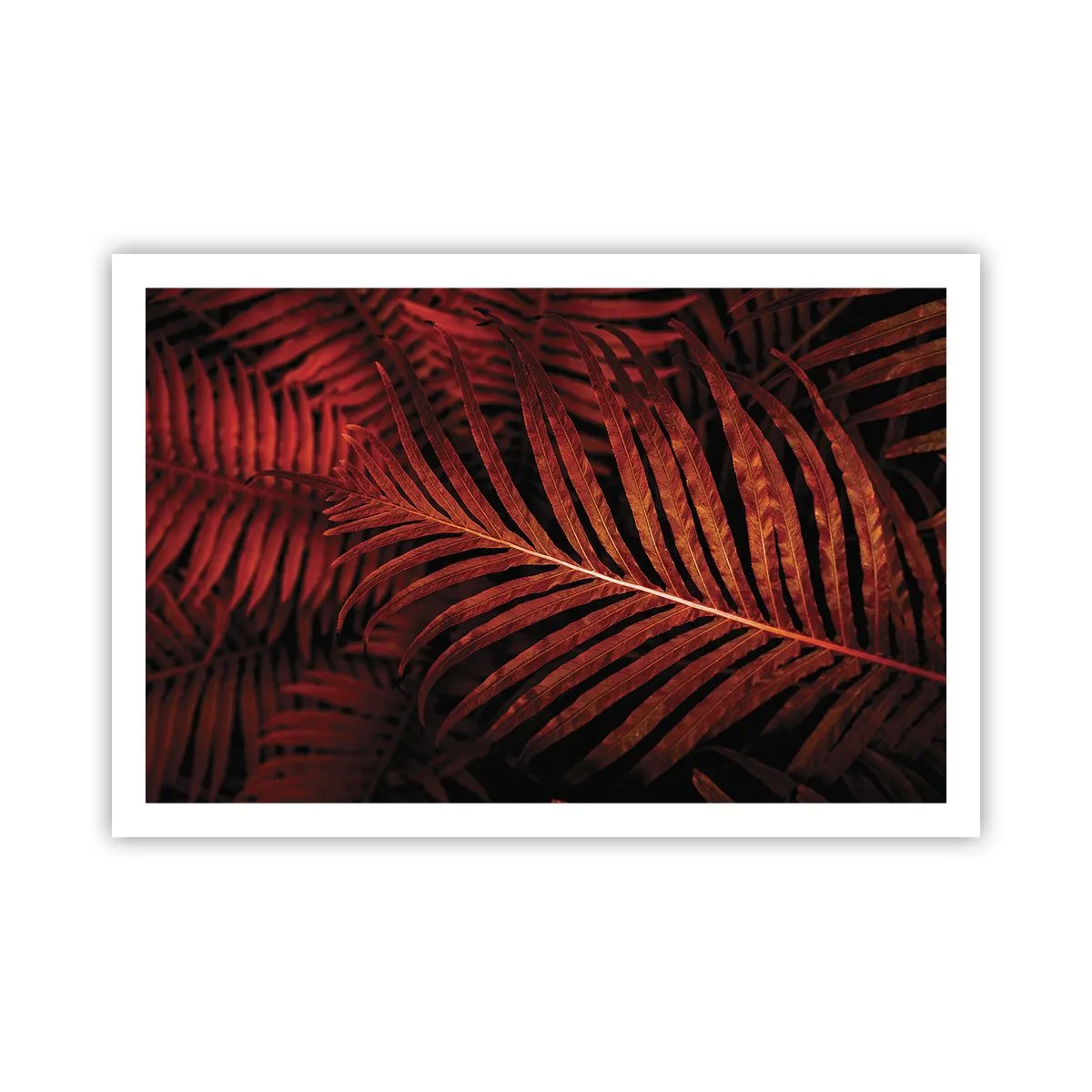 Poster - Il calore della vita - 91x61 cm