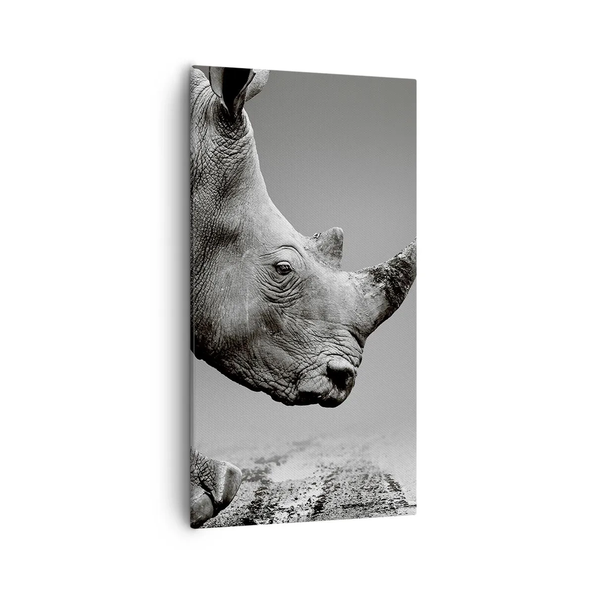 Quadro su tela - Stampe su Tela - Forza irrefrenabile - 55x100 cm