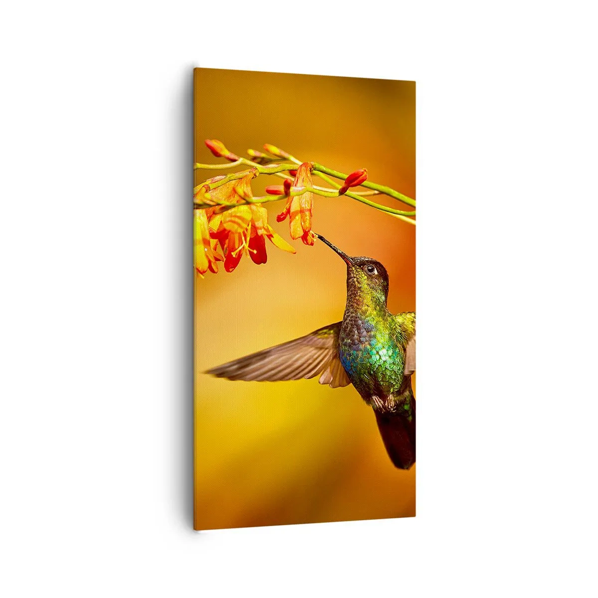 Quadro su tela - Stampe su Tela - Messaggero di luce secondo i Maya - 65x120 cm