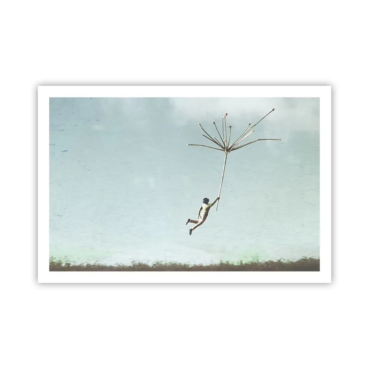 Poster - Aquiloni, denti di leone, vento - 91x61 cm