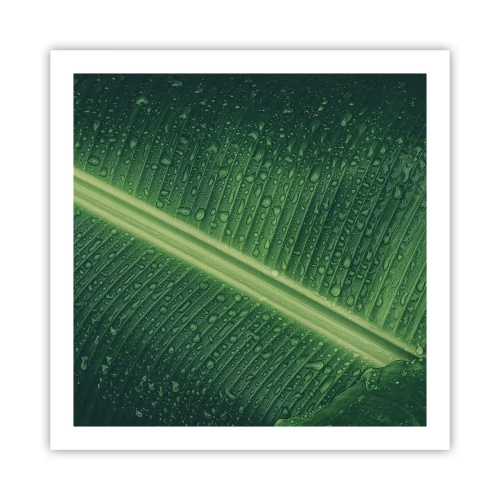 Poster - La struttura del verde - 60x60 cm