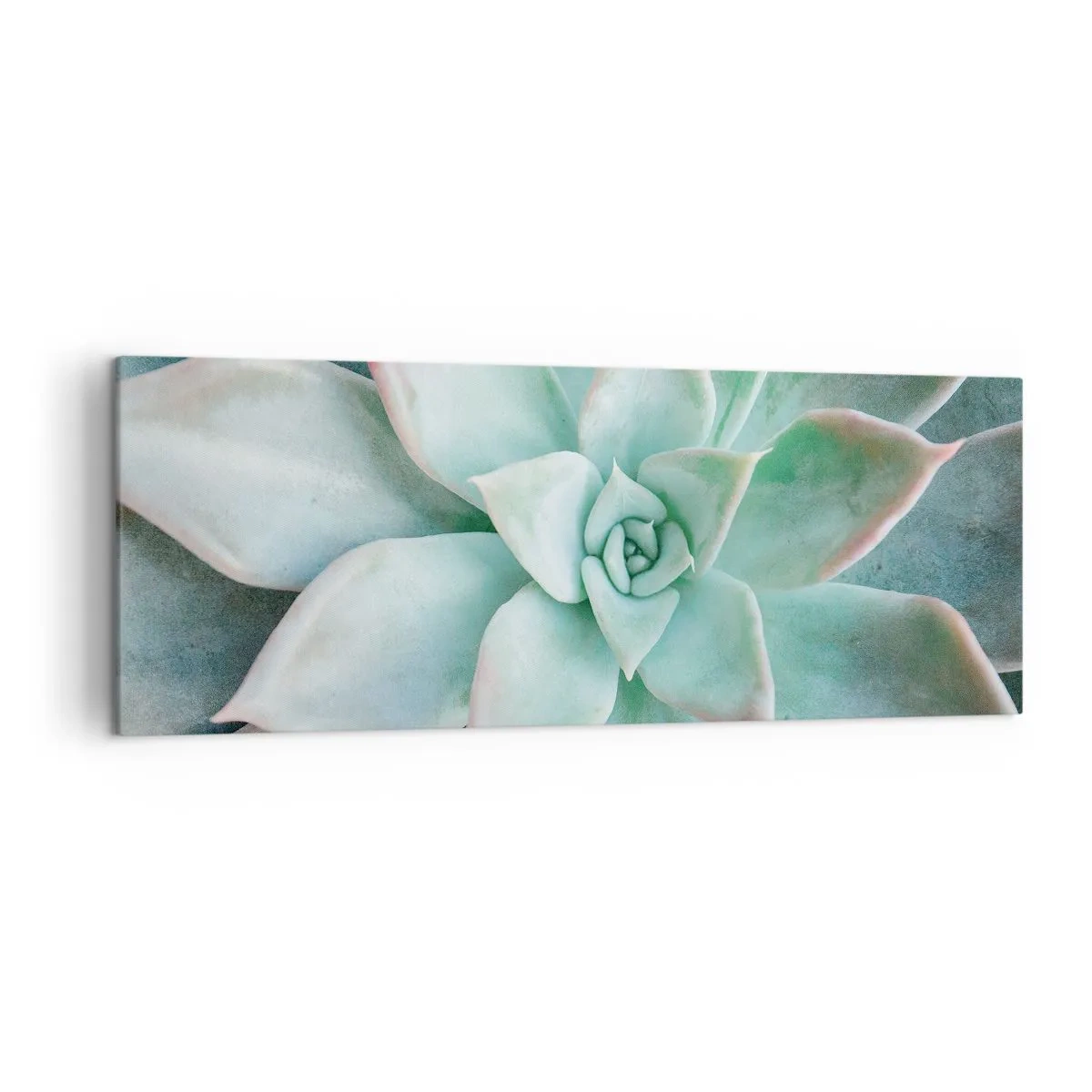 Quadro su tela - Stampe su Tela - Primo piano di una succulenta verde - 140x50cm - Il cuore del deserto - Decorazione murale moderna per soggiorno e camera da letto ARTTOR