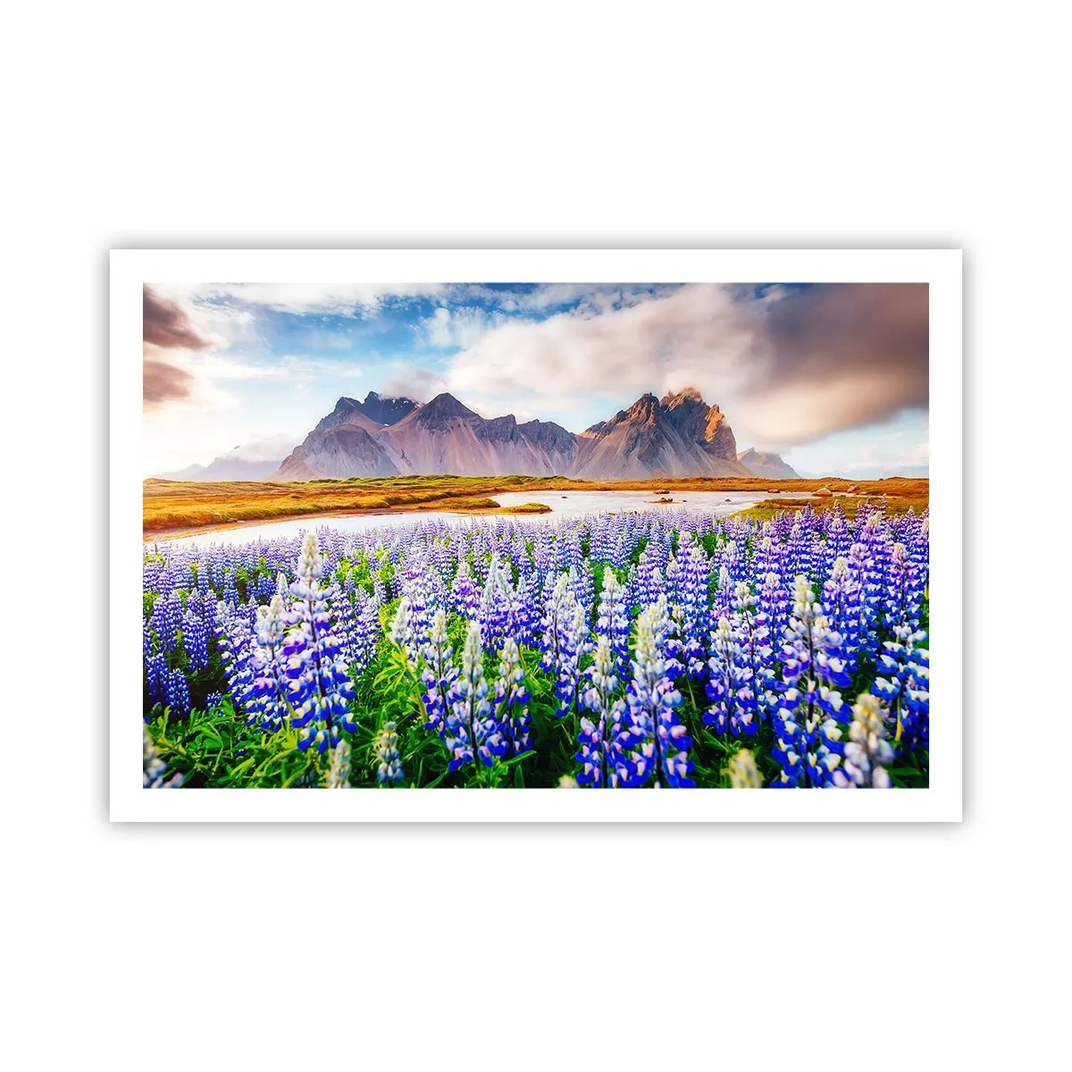 Poster - Forza e asprezza accanto alla mitezza - 91x61 cm