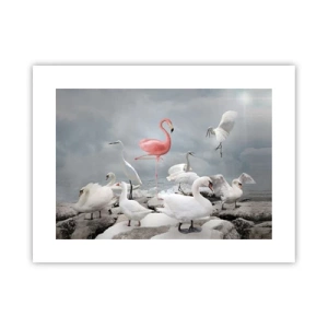 Poster - Come sono arrivato qui? - 40x30 cm