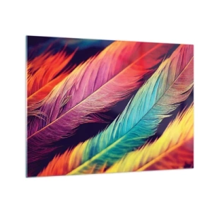 Quadro su vetro - Piume colorate in intense tonalità arcobaleno - 70x50cm - Arcobaleno piumato - Decorazione murale moderna per soggiorno e camera da letto ARTTOR