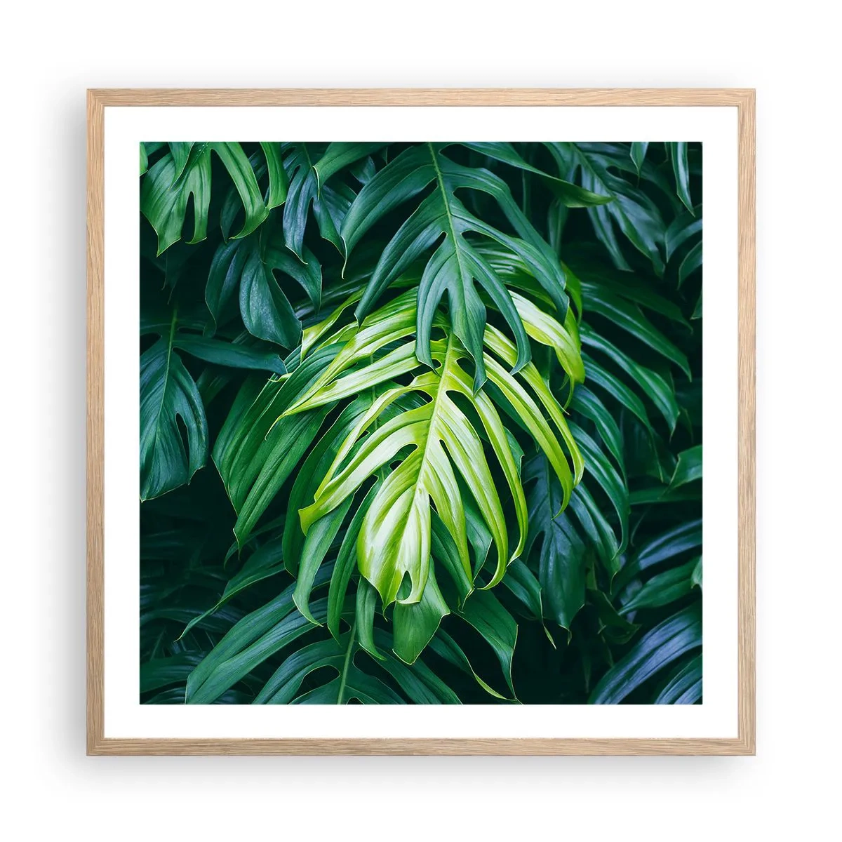 Poster in cornice rovere chiaro - Immergersi nella freschezza - 60x60 cm