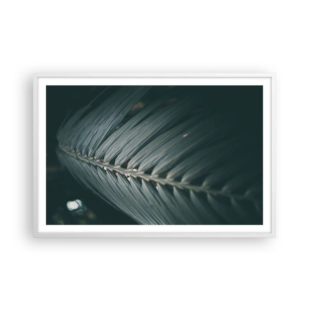 Poster in cornice bianca - La precisione della natura - 91x61 cm