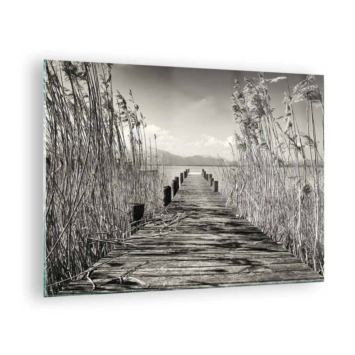 Quadro su vetro - Un ponte di legno attraversa l'erba e attraversa un lago tranquillo. - 70x50cm - Nel silenzio dell'erba - Decorazione murale moderna per soggiorno e camera da letto ARTTOR