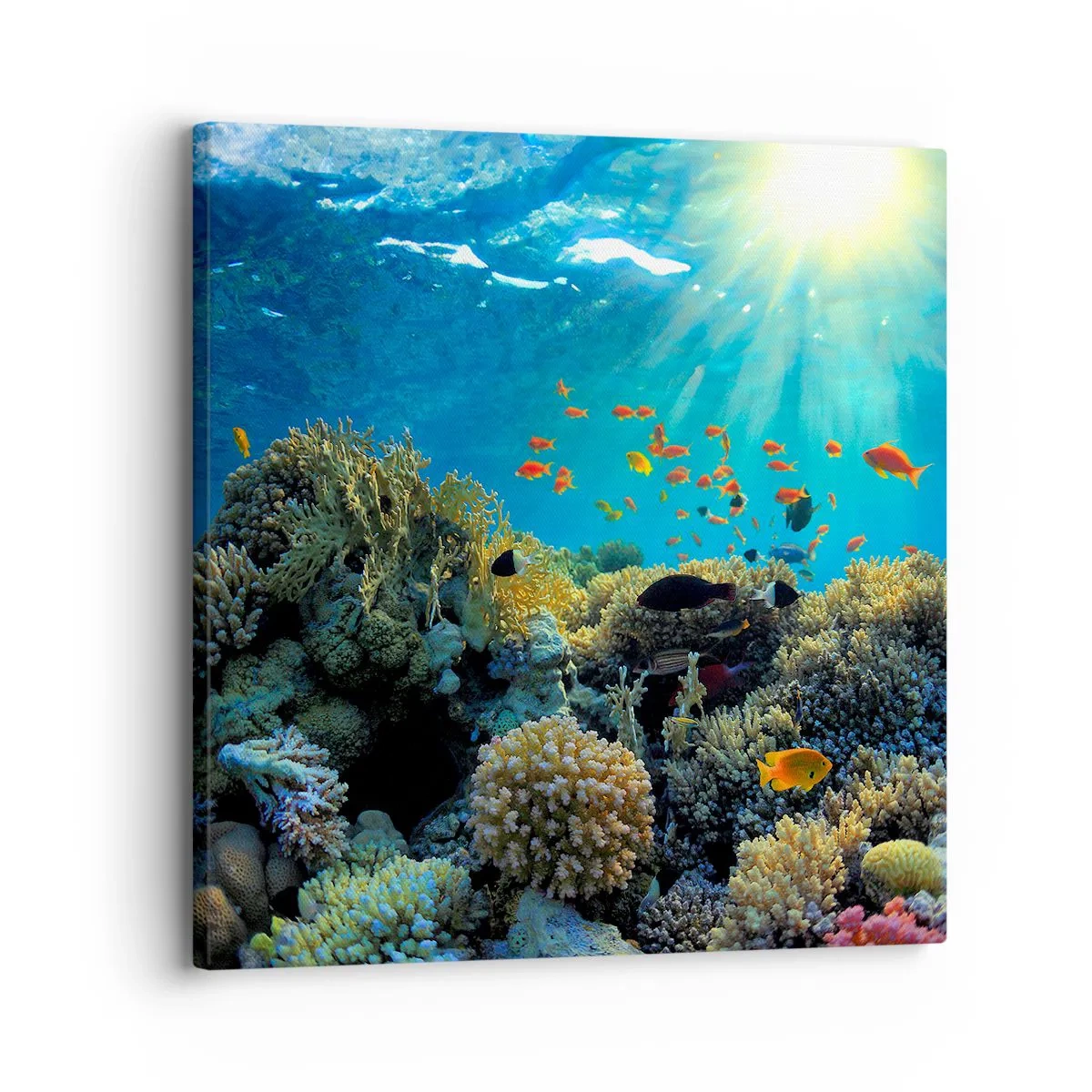 Quadro su tela - Stampe su Tela - Tesori sotto al mare - 30x30 cm