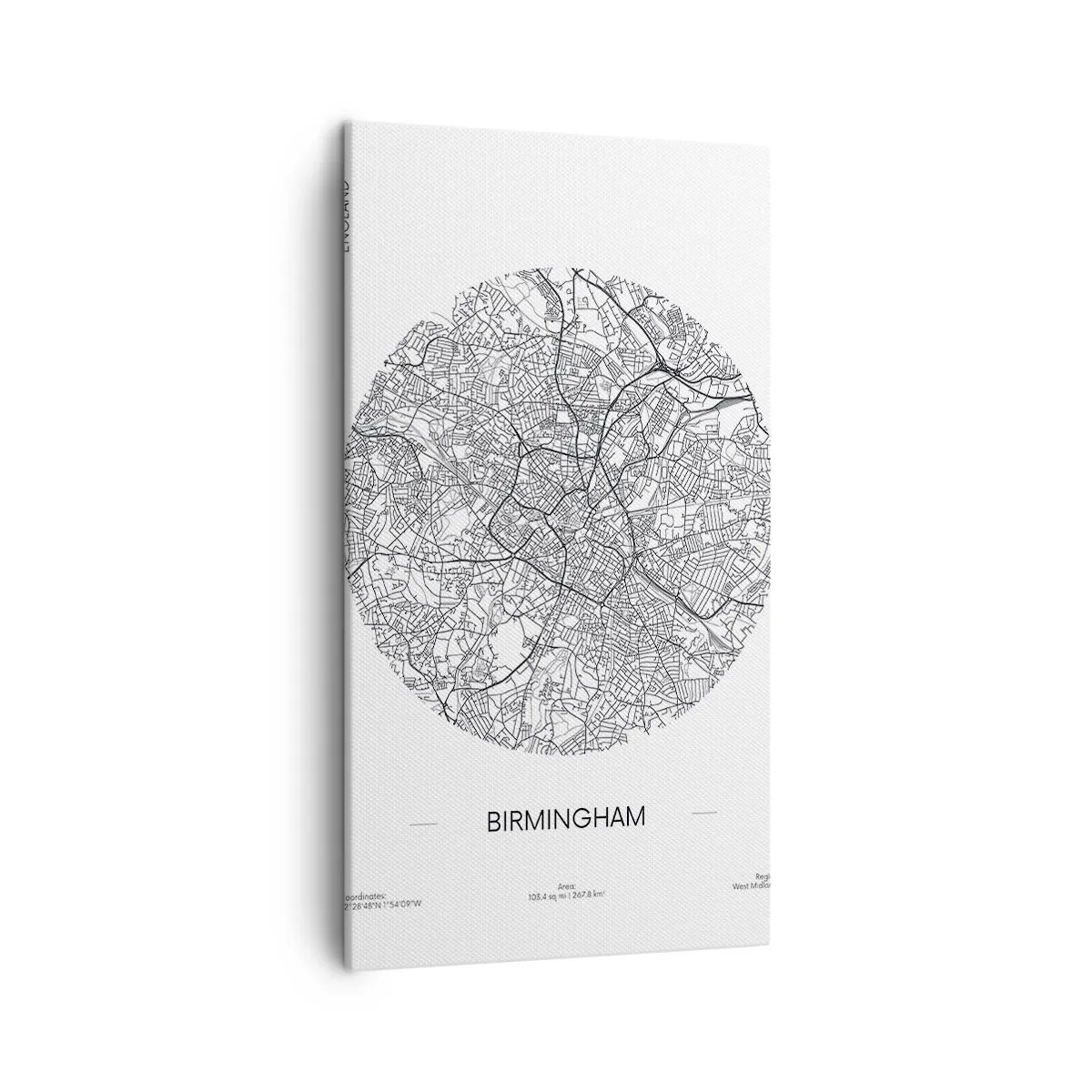 Quadro su tela - Stampe su Tela - Anatomia di Birmingham - 45x80 cm