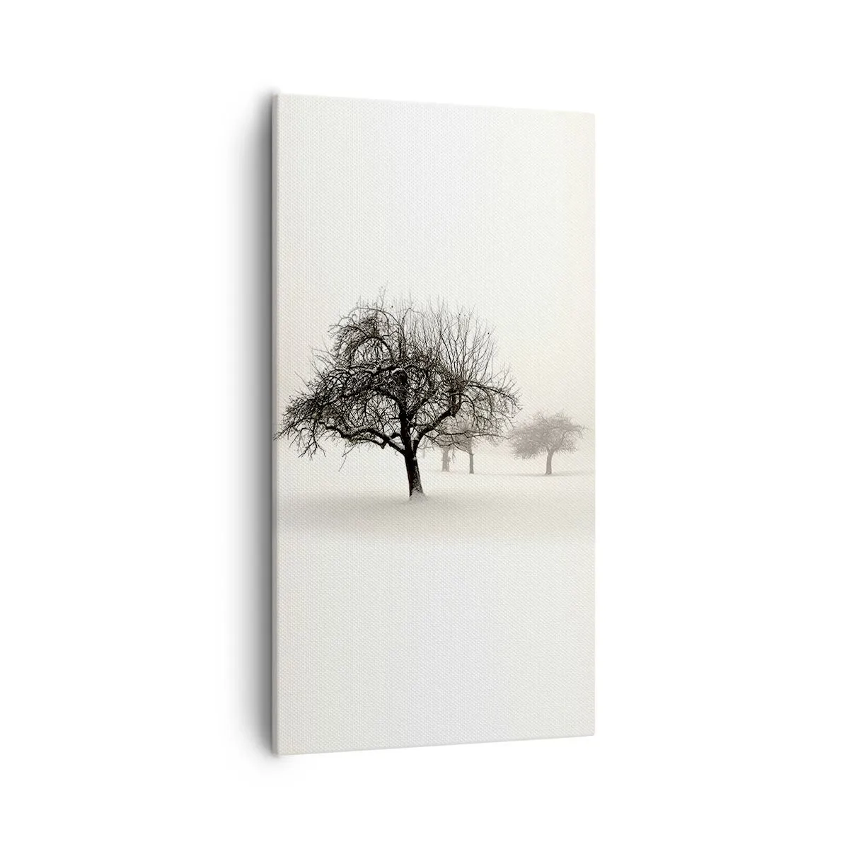 Quadro su tela - Stampe su Tela - Sogno invernale - 55x100 cm