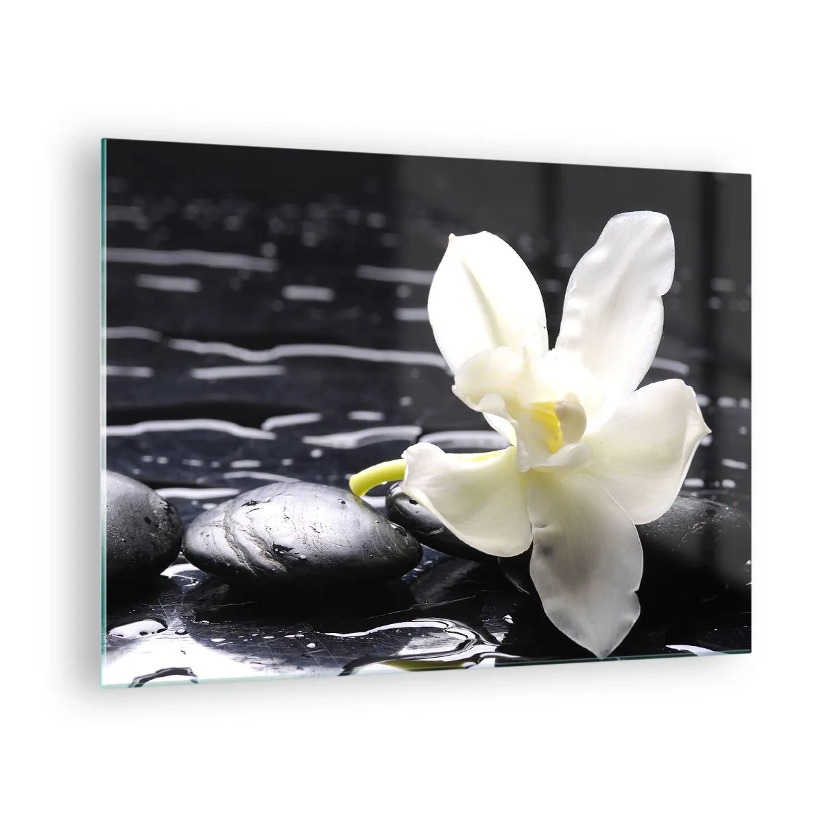 Quadro su vetro - Orchidea bianca su pietre nere bagnate - 70x50cm - Studio in bianco e nero - Decorazione murale moderna per soggiorno e camera da letto ARTTOR