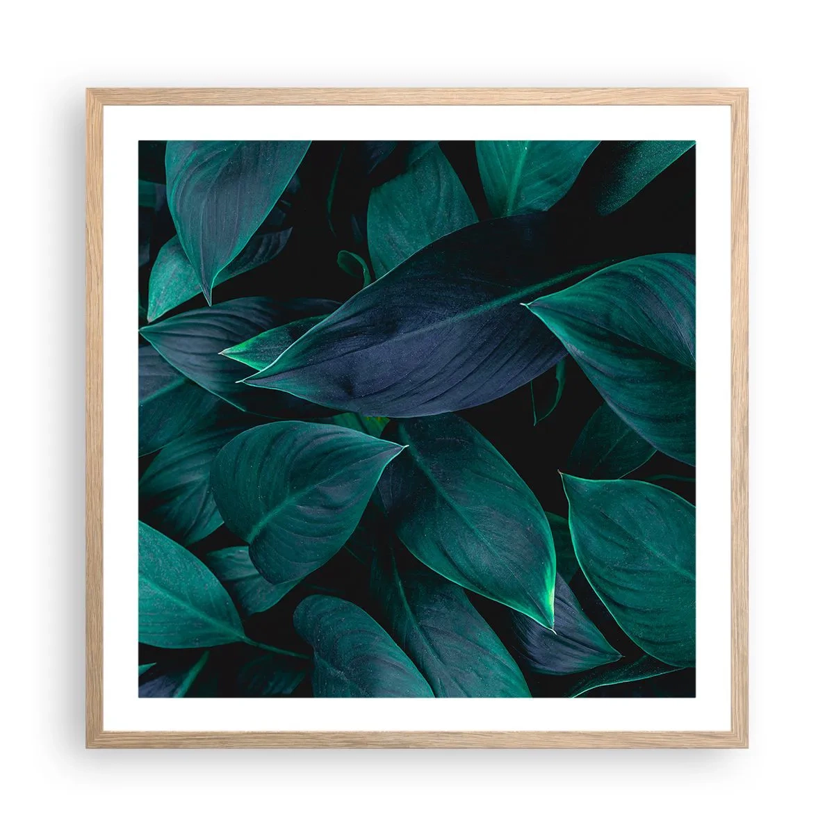 Poster in cornice rovere chiaro - Il verde puro - 60x60 cm