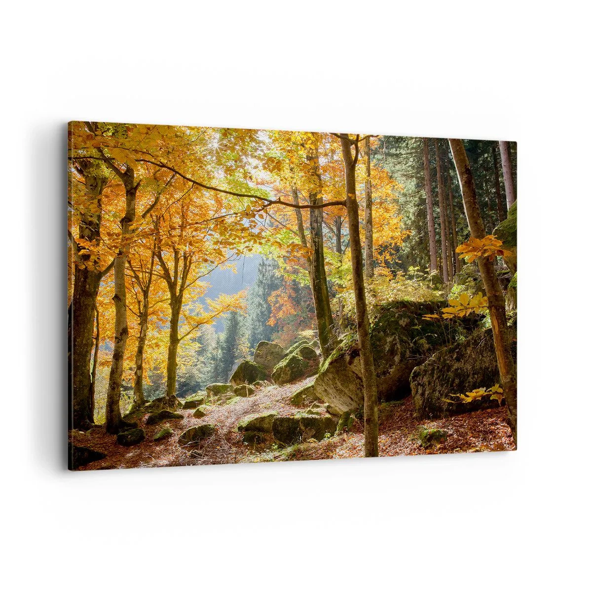 Quadro su tela - Stampe su Tela - Una foresta autunnale piena di foglie dorate e luce solare - 100x70cm - Il tempo del riposo - Decorazione murale moderna per soggiorno e camera da letto ARTTOR