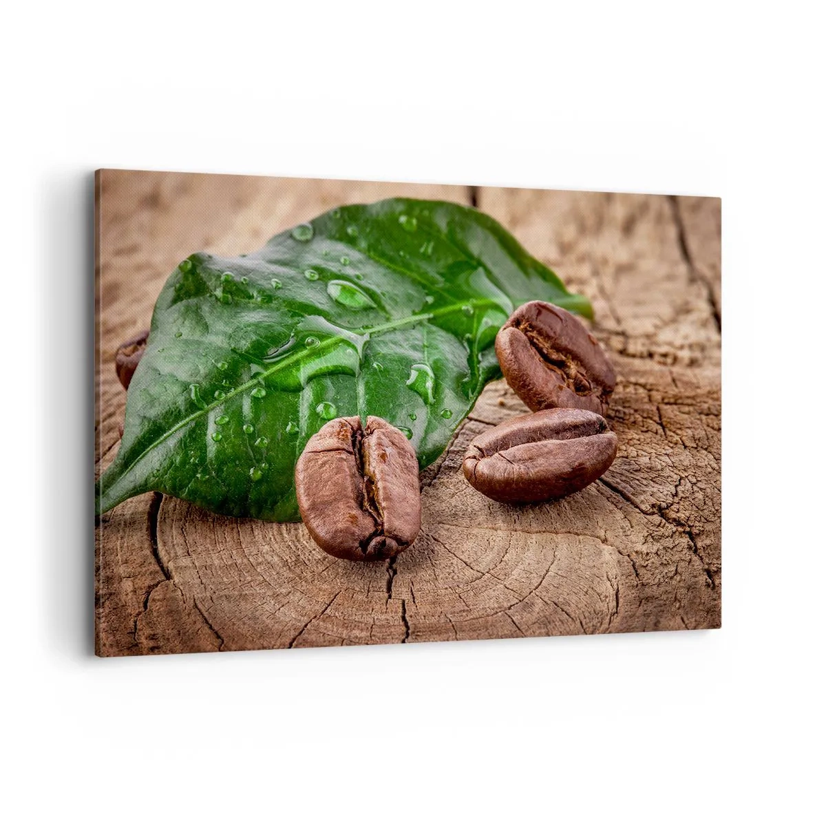Quadro su tela - Stampe su Tela - Chicchi di caffè e foglia verde su uno sfondo di legno - 100x70cm - Nero e autentico - Decorazione murale moderna per soggiorno e camera da letto ARTTOR