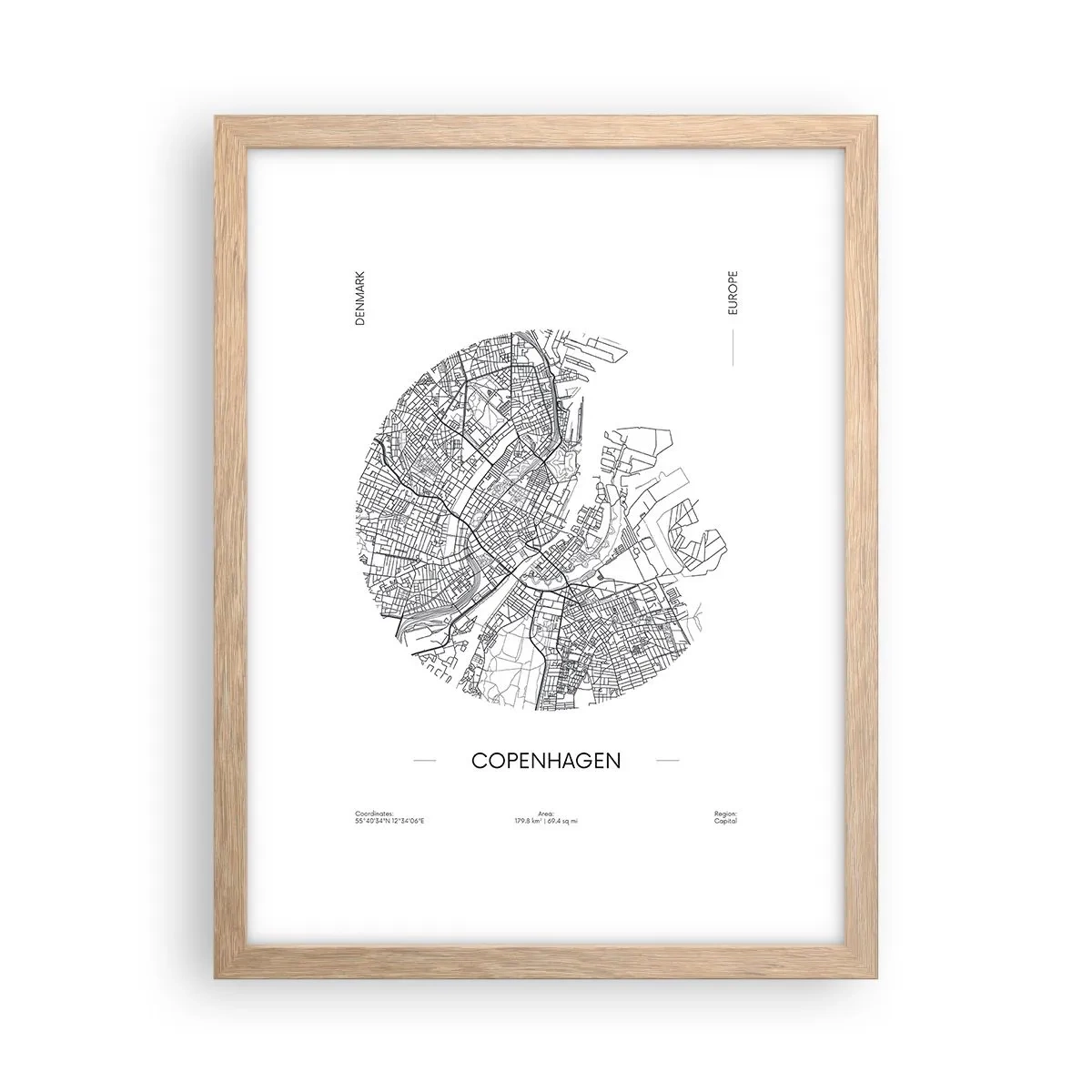 Poster in cornice rovere chiaro - Anatomia di Copenaghen - 30x40 cm
