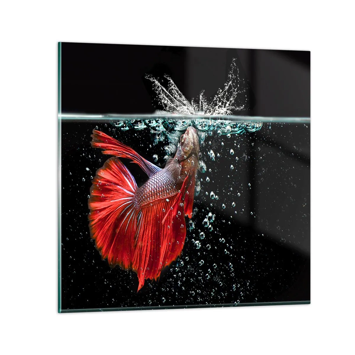 Quadro su vetro - Hai tre desideri - 30x30 cm