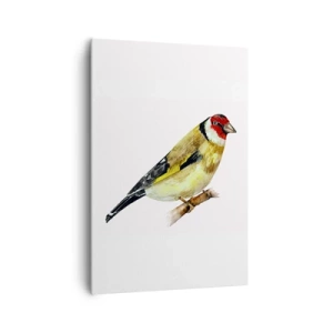 Quadro su tela - Stampe su Tela - Un uccello con la testa rossa su un ramo - 70x100cm - Ritratto di uccello - Decorazione murale moderna per soggiorno e camera da letto ARTTOR