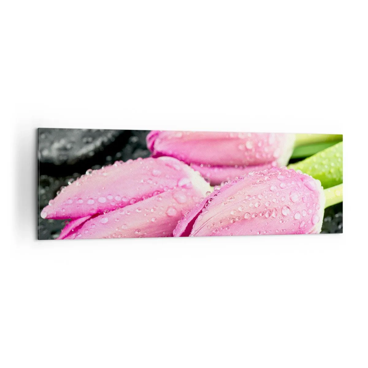 Quadro su tela - Stampe su Tela - Tre tulipani rosa con gocce d'acqua su sfondo nero - 160x50cm - Una terna lilla su pietra nera - Decorazione murale moderna per soggiorno e camera da letto ARTTOR