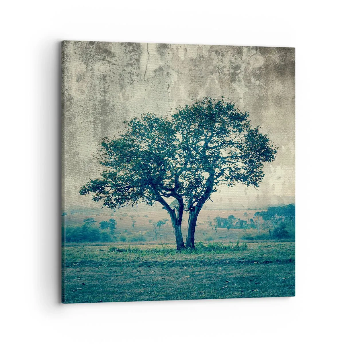 Quadro su tela - Stampe su Tela - Un melo su un prato blu? - 70x70 cm