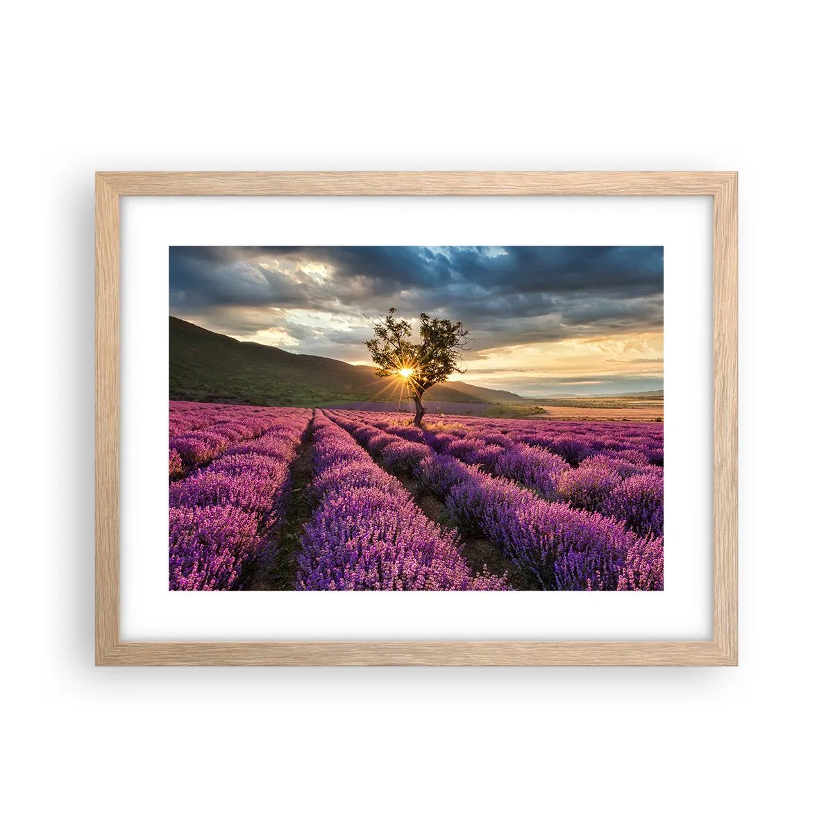 Poster in cornice rovere chiaro - Aroma di colore lilla - 40x30 cm