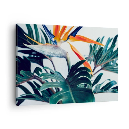 Quadro su tela - Stampe su Tela - Fiore di Strelitzia circondato da foglie in piena luce - 70x50cm - Pianta uccello - Decorazione murale moderna per soggiorno e camera da letto ARTTOR