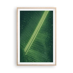 Poster in cornice rovere chiaro - La struttura del verde - 61x91 cm