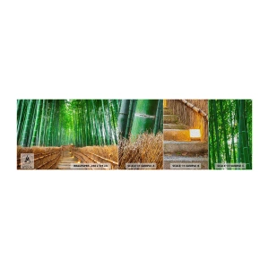 Campione di Fotomurale Premium Sand - Essenza della natura asiatica - Bambù, Foresta di bamboo, Natura - 100x30 cm