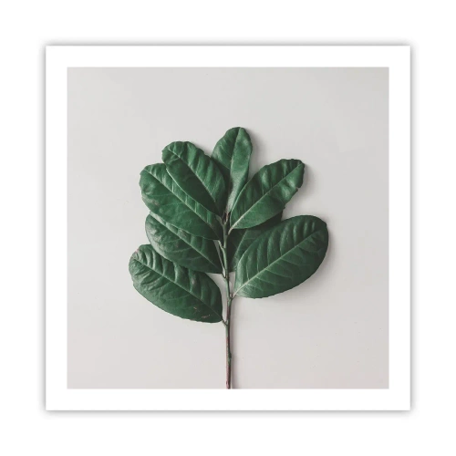 Poster - Il disegno della natura stessa - 60x60 cm