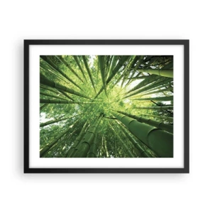 Poster in cornice nera - Nella foresta di bambù - 50x40 cm