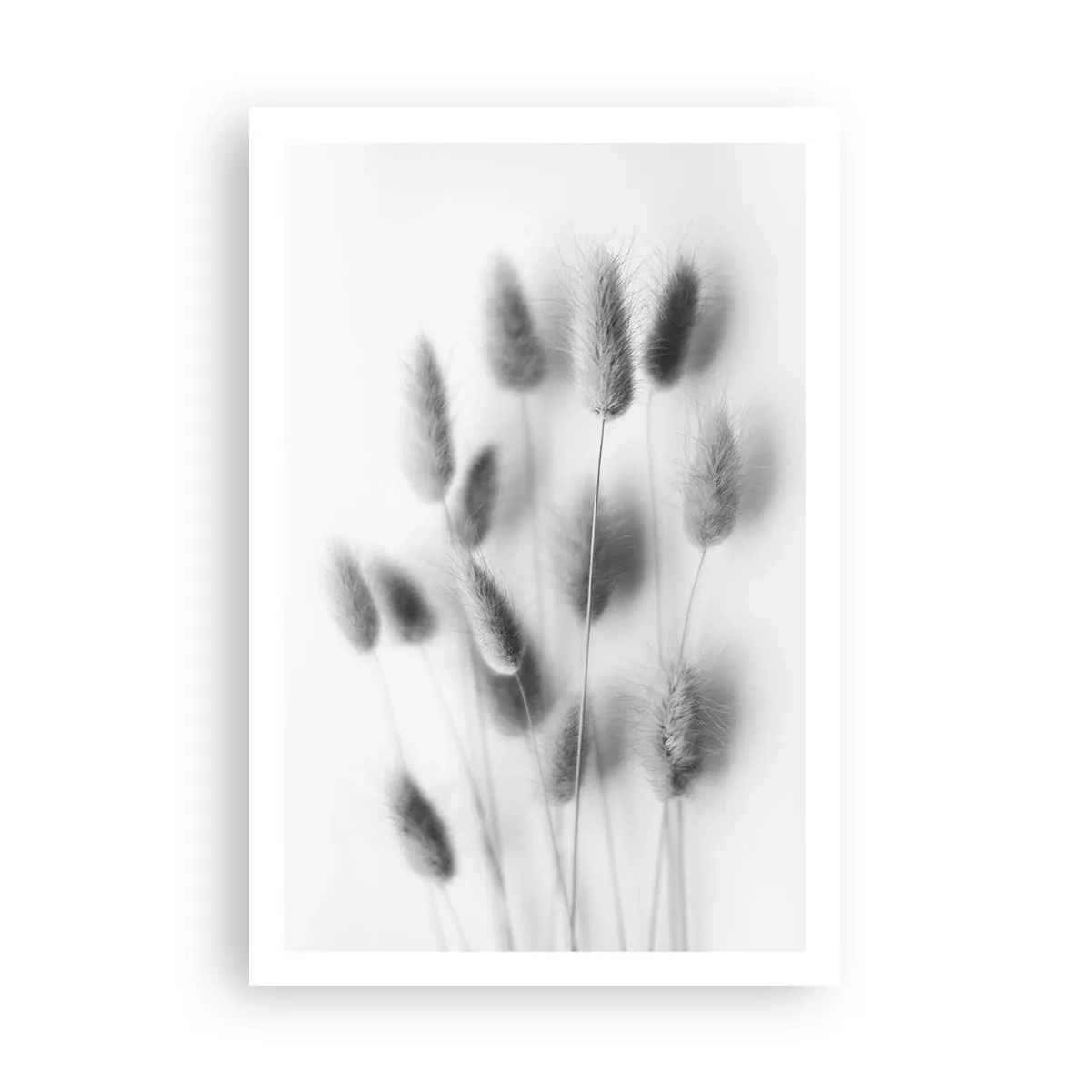 Poster - Erba soffice - 61x91 cm