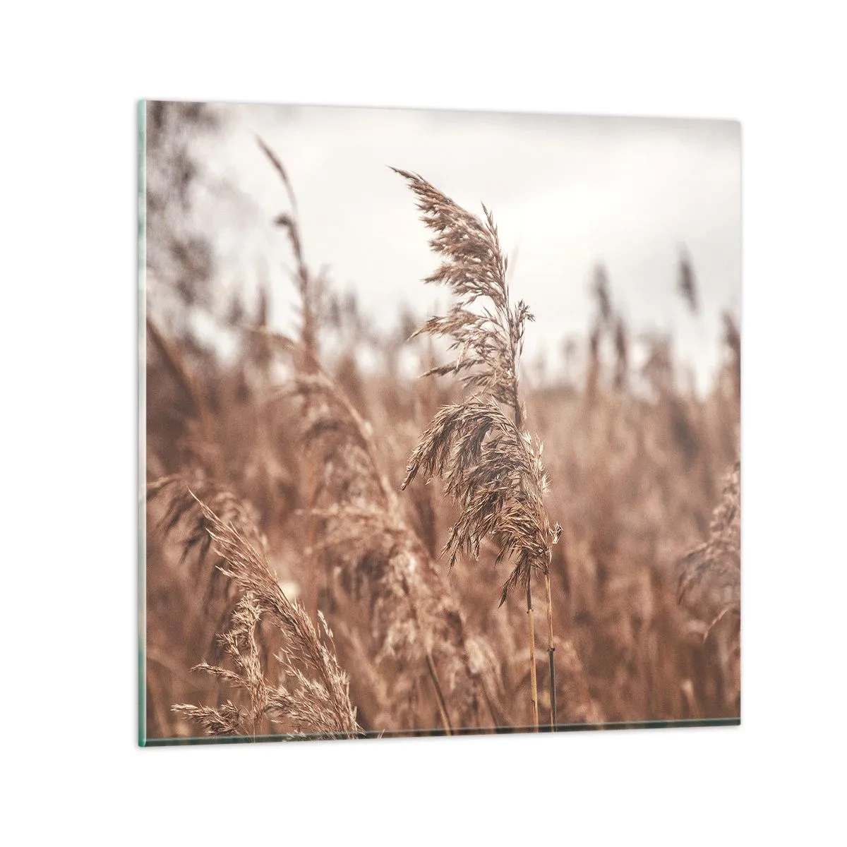 Quadro su vetro - Nei campi è già autunno - 70x70 cm